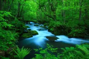 10:東北地方で最も治安が良いと思う地域は？　1位は自然が美しい…