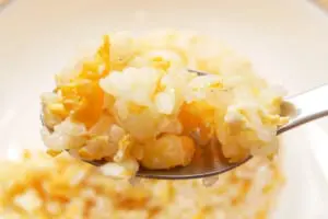 sirabee20220322friedrice7-1200x800